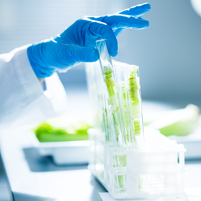 PhysicalSciences_284x284