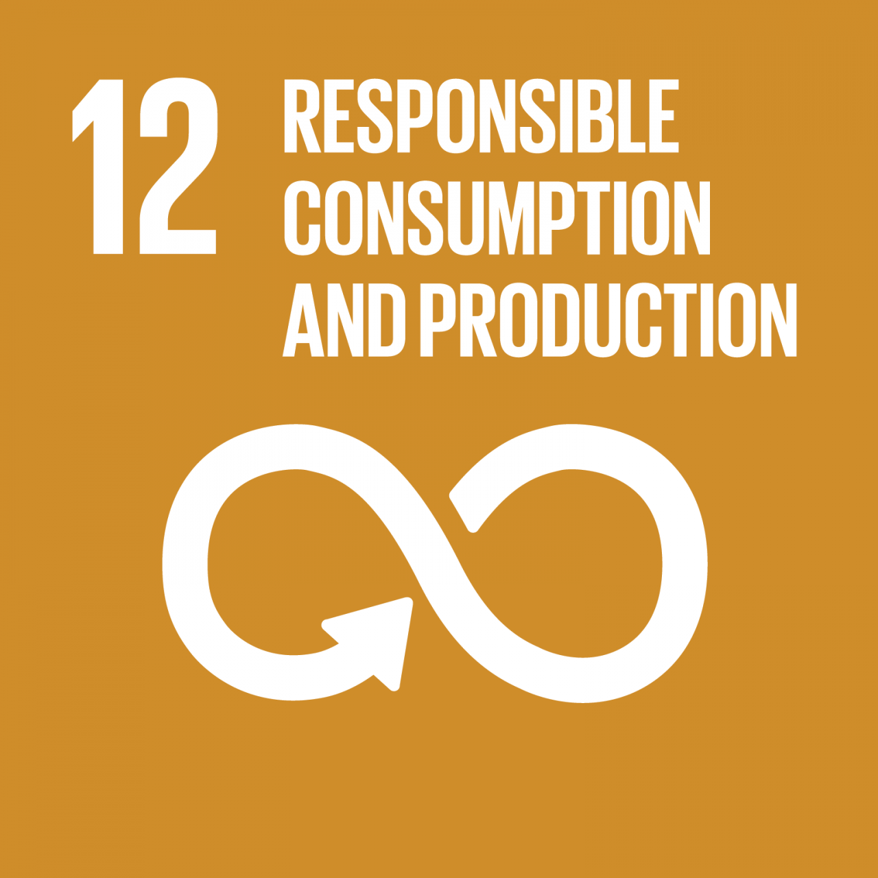 SDG_1280x1280_12