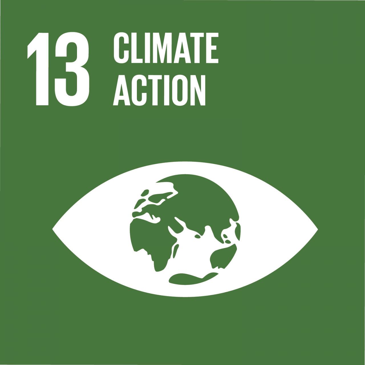 SDG_1280x1280_13