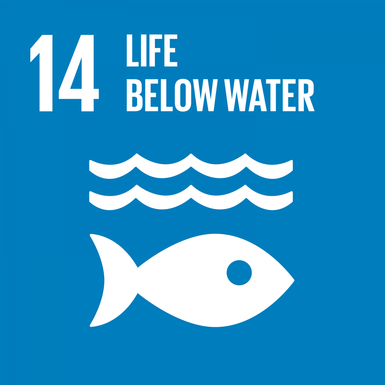 SDG_1280x1280_14