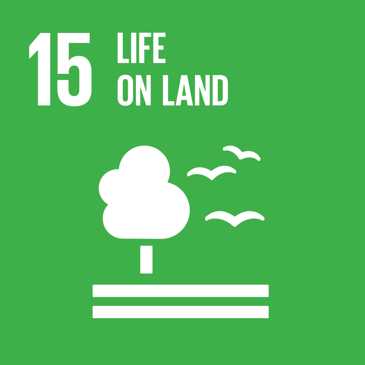 SDG_1280x1280_15