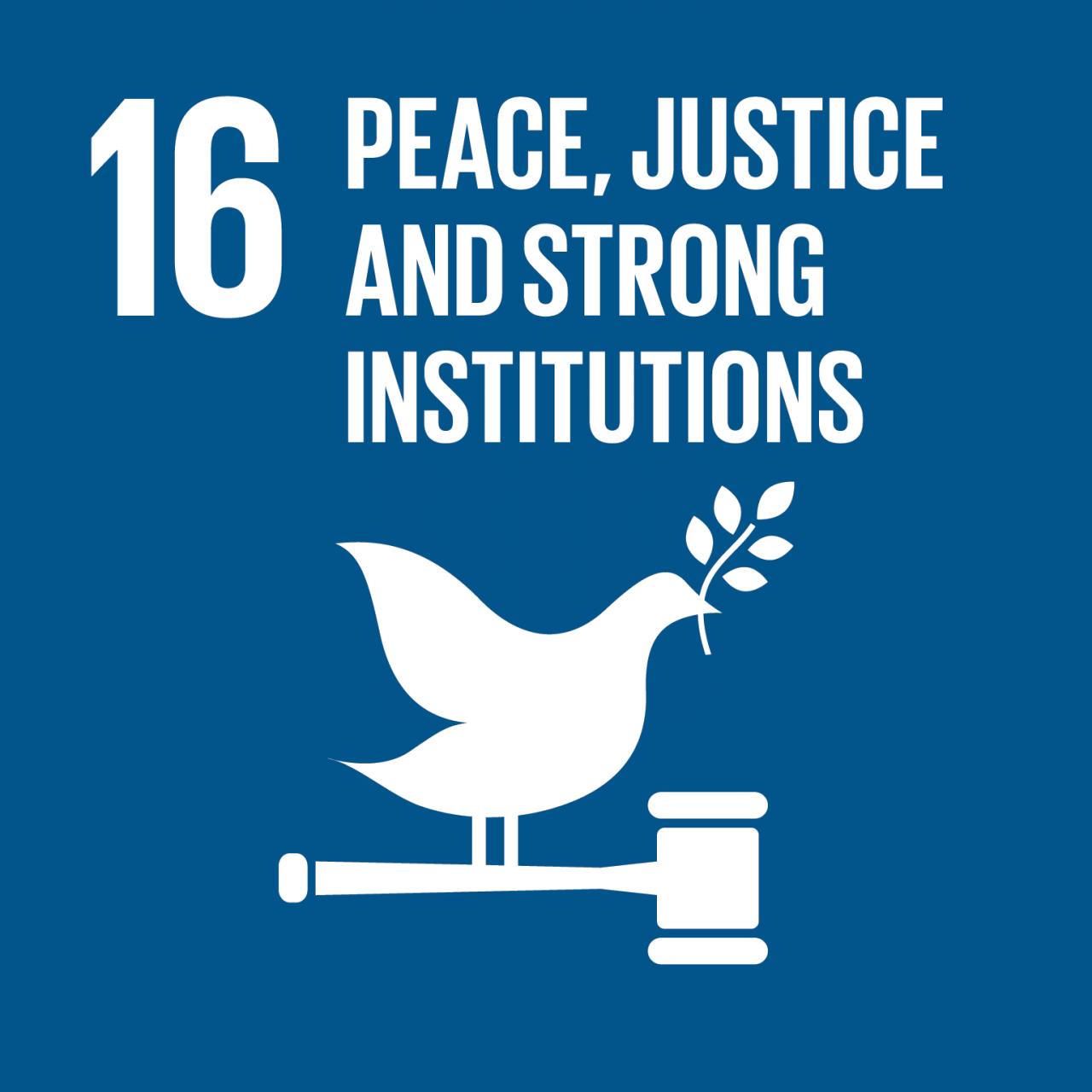 SDG_1280x1280_16