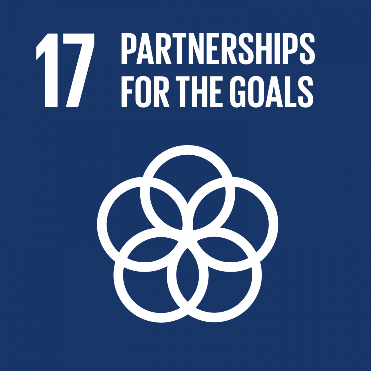 SDG_1280x1280_17