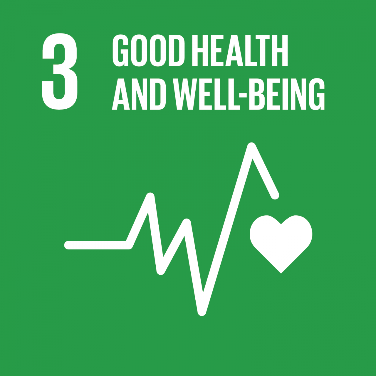 SDG_1280x1280_3