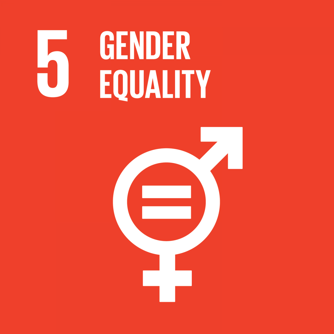 SDG_1280x1280_5