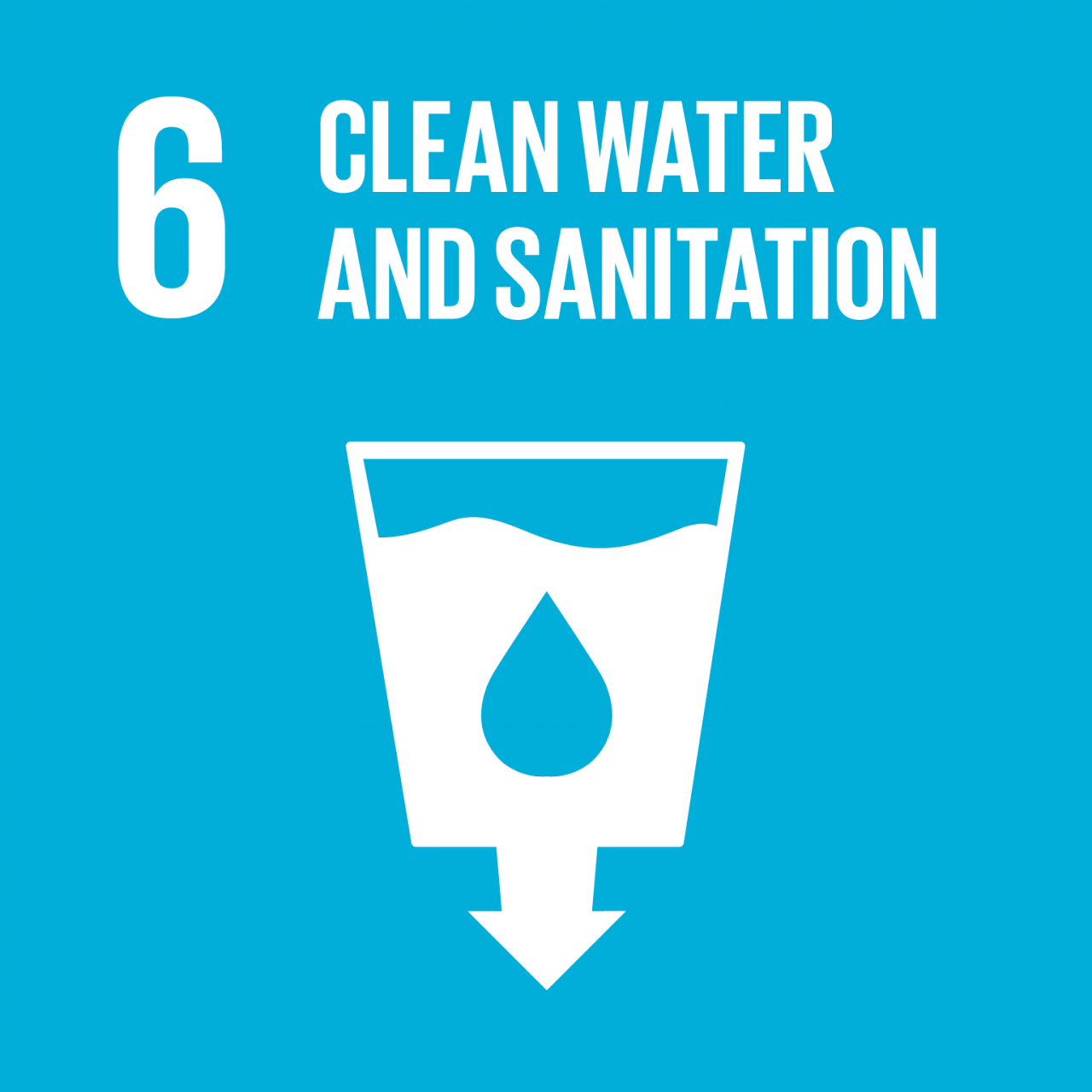 SDG_1280x1280_6