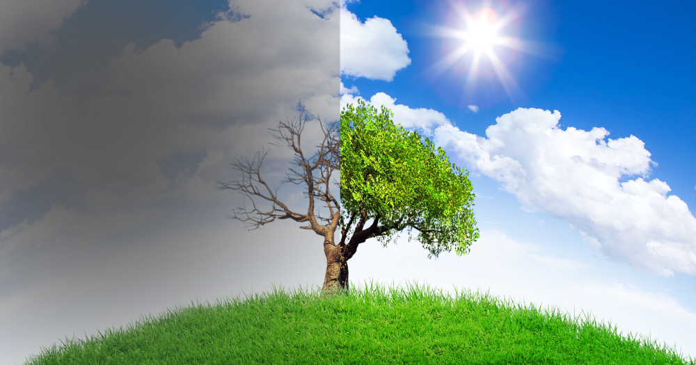 112 PAIRUnequal Impacts