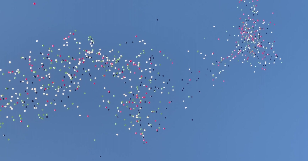 167PAIRplanetary health impacts