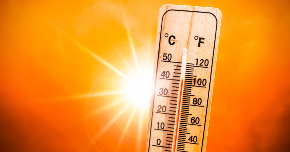 192PAIRAsian heat
