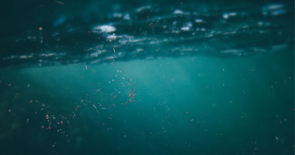 194PAIRAquatic plastisphere