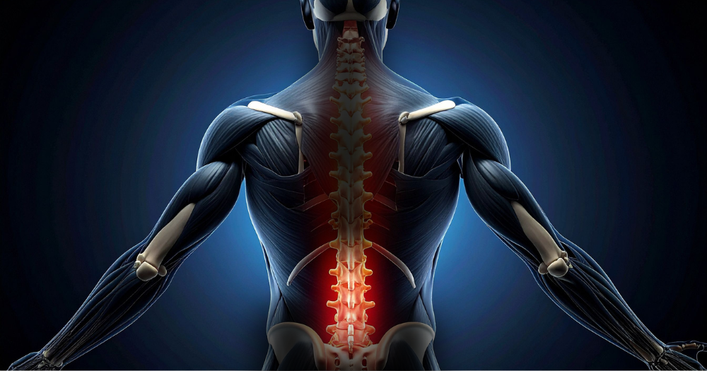 196 PAIR_Low Back Pain in Humans
