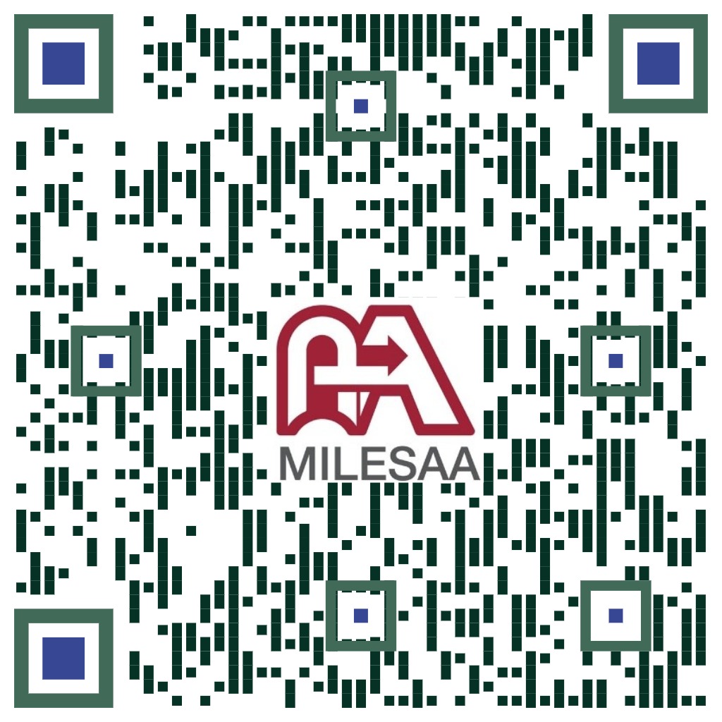 2025-08-02 Half Day Relaxing Walk to Ma Wan