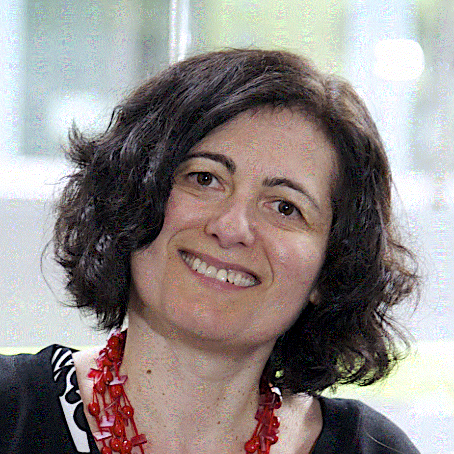 Prof. Adisa Azapagic