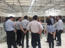 Arup(11)