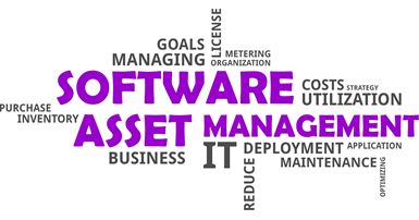 Software Asset Management SAM