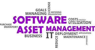 Software Asset Management SAM