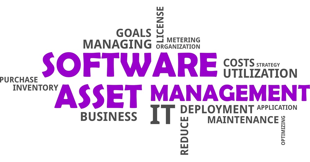 Software Asset Management SAM