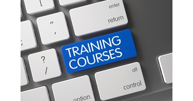 IT Security Online Training