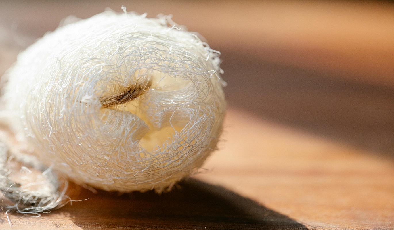 Renewable fibers and their functional properties