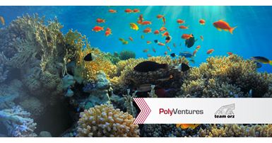 Web banner_22_SD_Ed