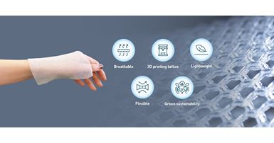 Web banner_25_SFT_Ed