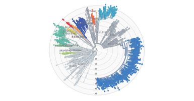 Excel5genomicsequencing