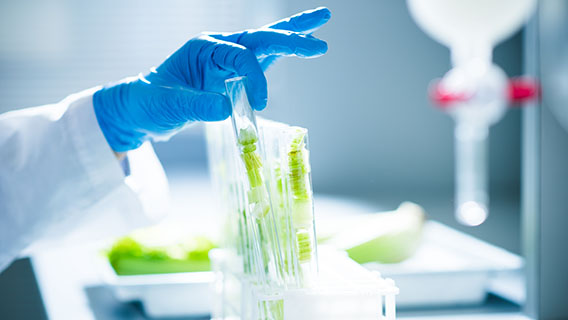 IP Pathfinding_568x320