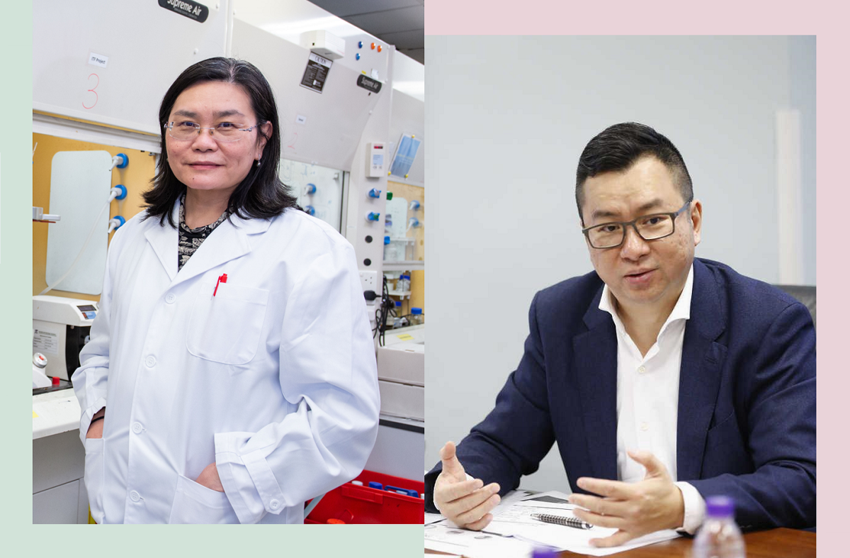 CareCoatex cofonders 1200d