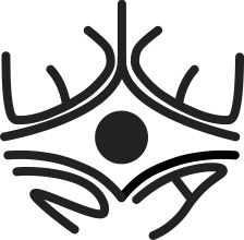 Eyenova Biotech Limited