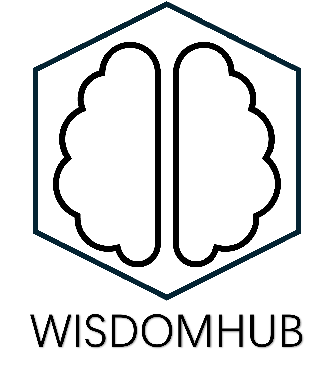 Logo-wisdomhub - Yanjie SUN