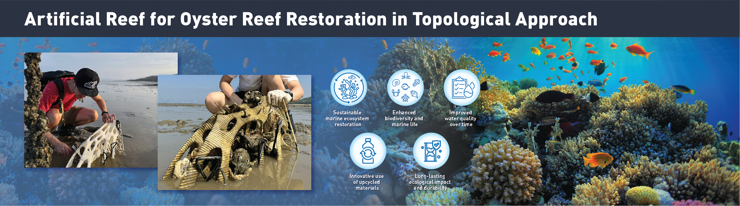 AEII2024_web_banner_01