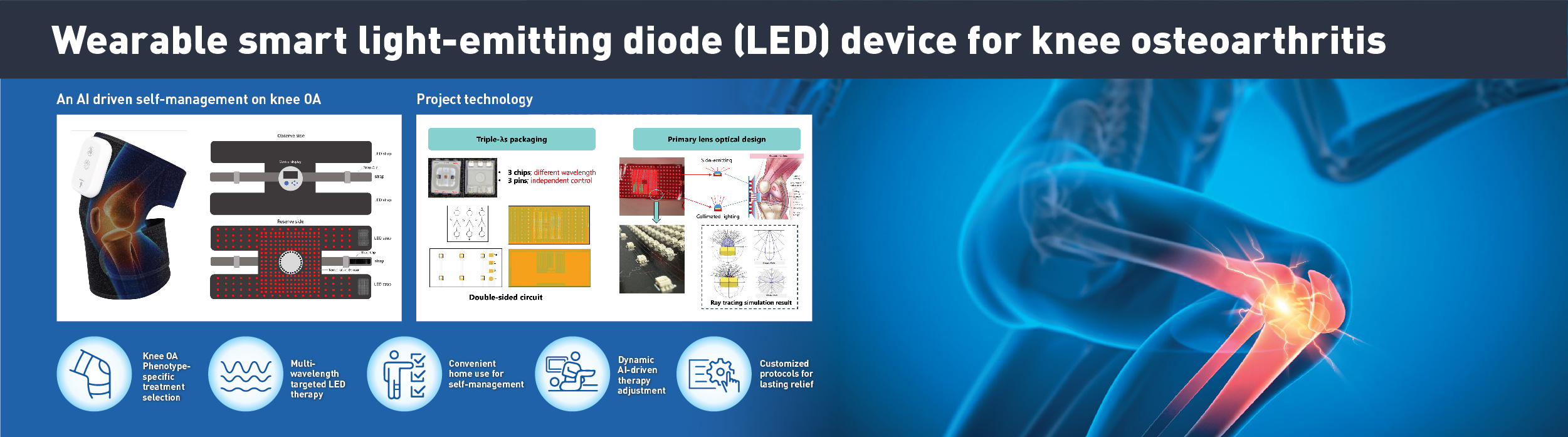 AEII2024_web_banner_11