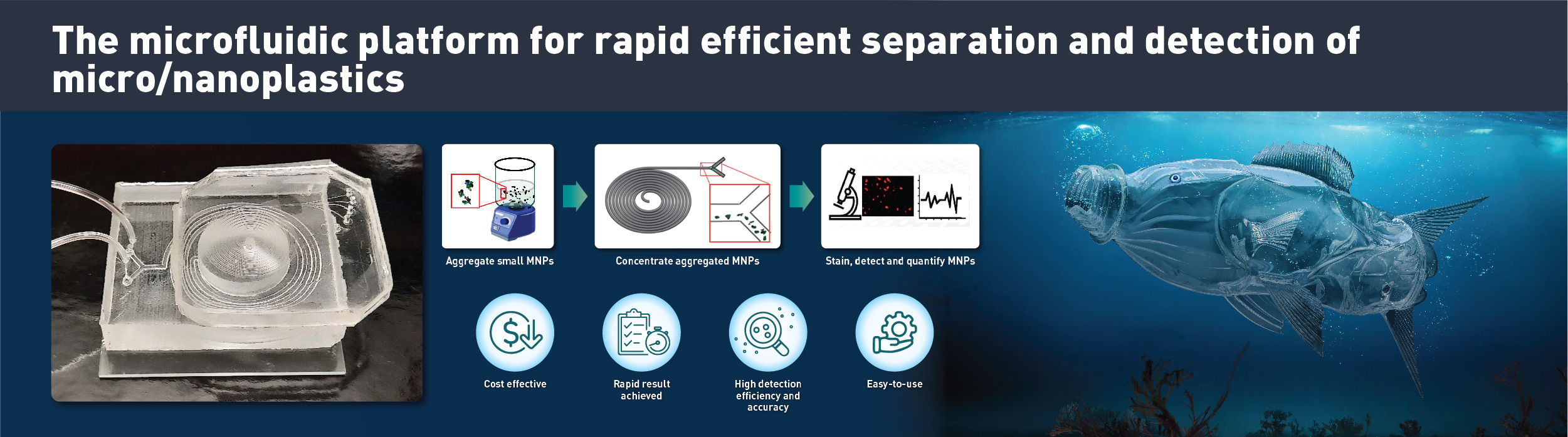 AEII2024_web_banner_13