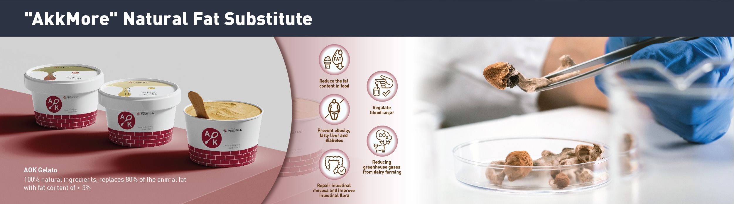 AEII2024_web_banner_18