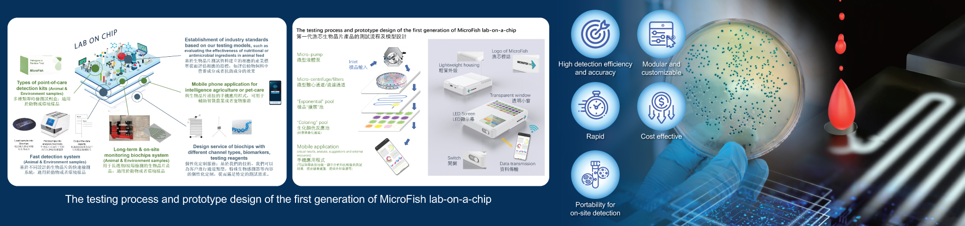 MicroFish_wb