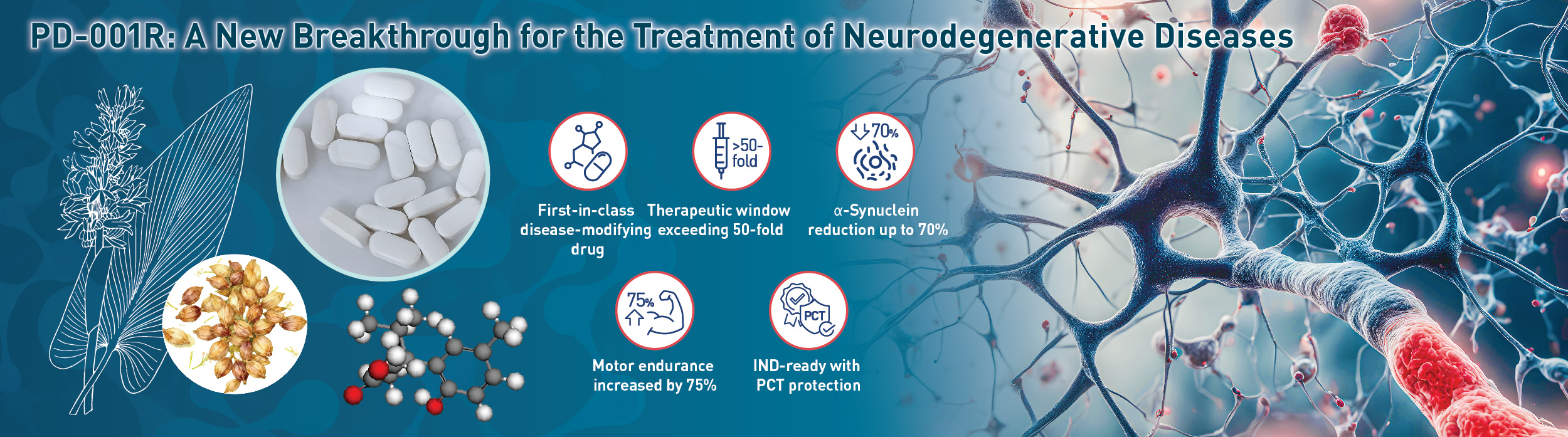 AEII2025_web_banner_08_AIM_v1