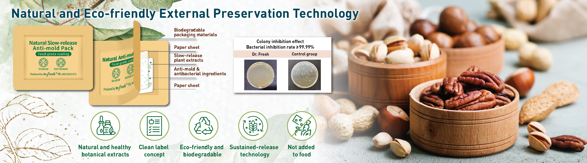 AEII2025_web_banner_09_DrFresh_v1