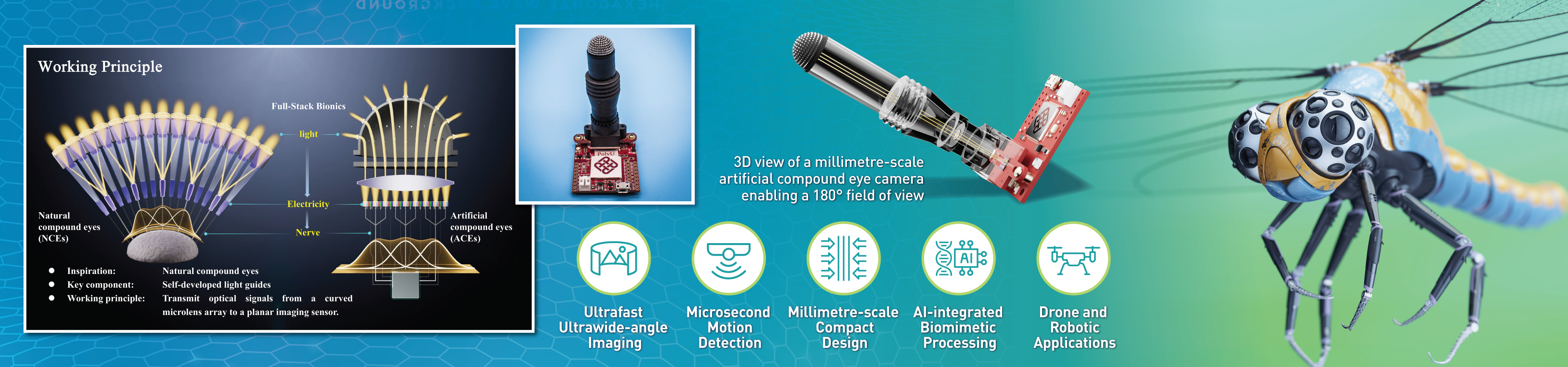 Geneva2026_web_08_Dragonfly_Vision_v1