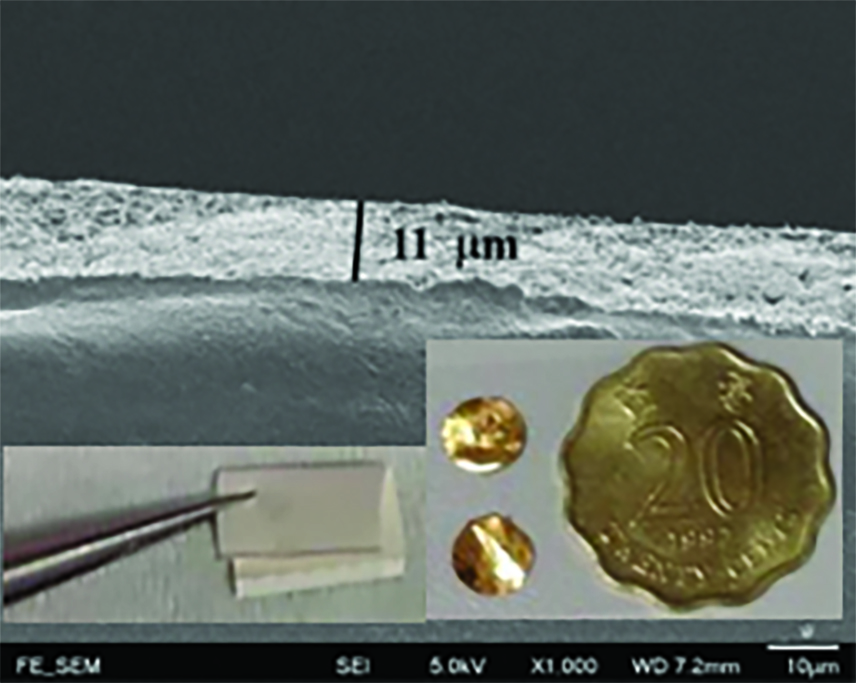 SEM of  flexible film