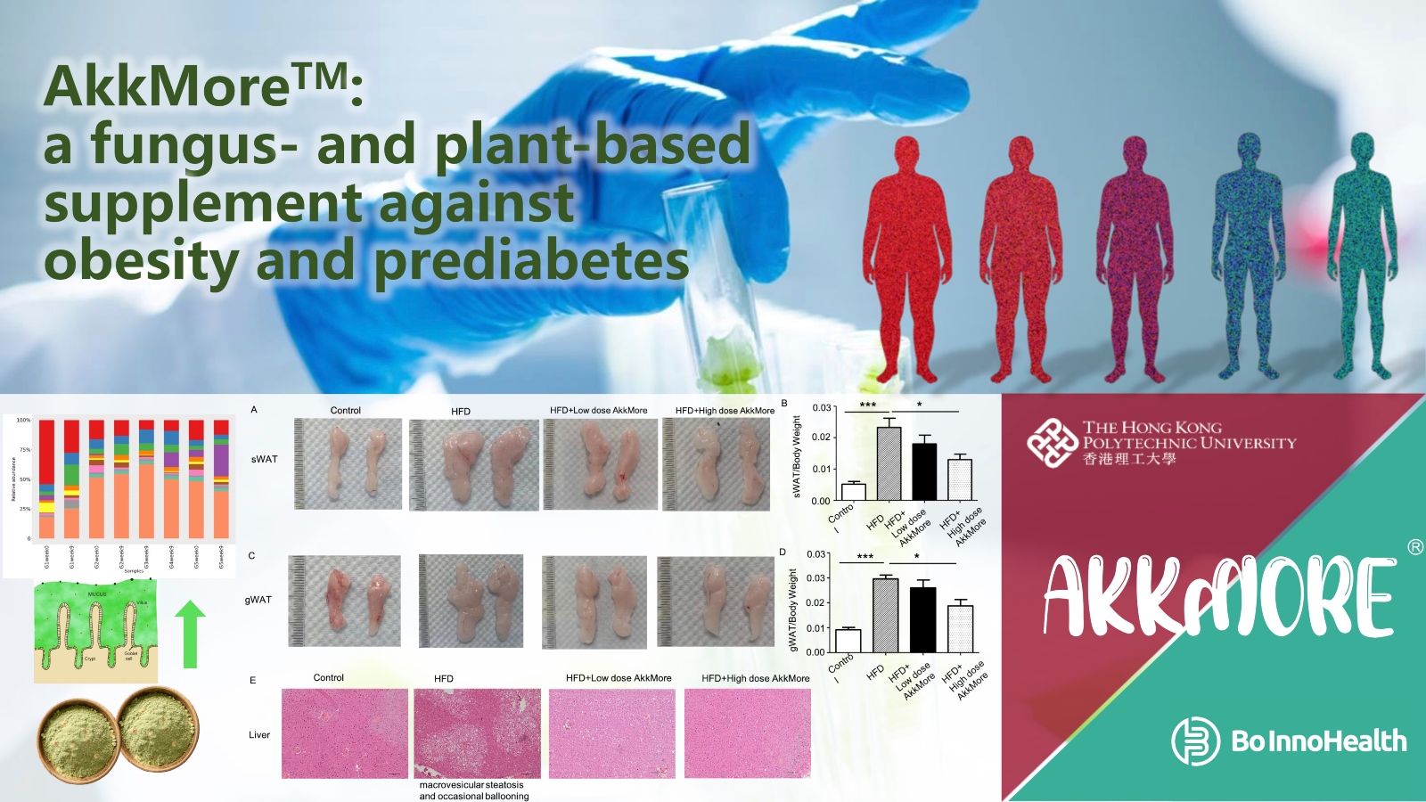 MainPictures_1600_900