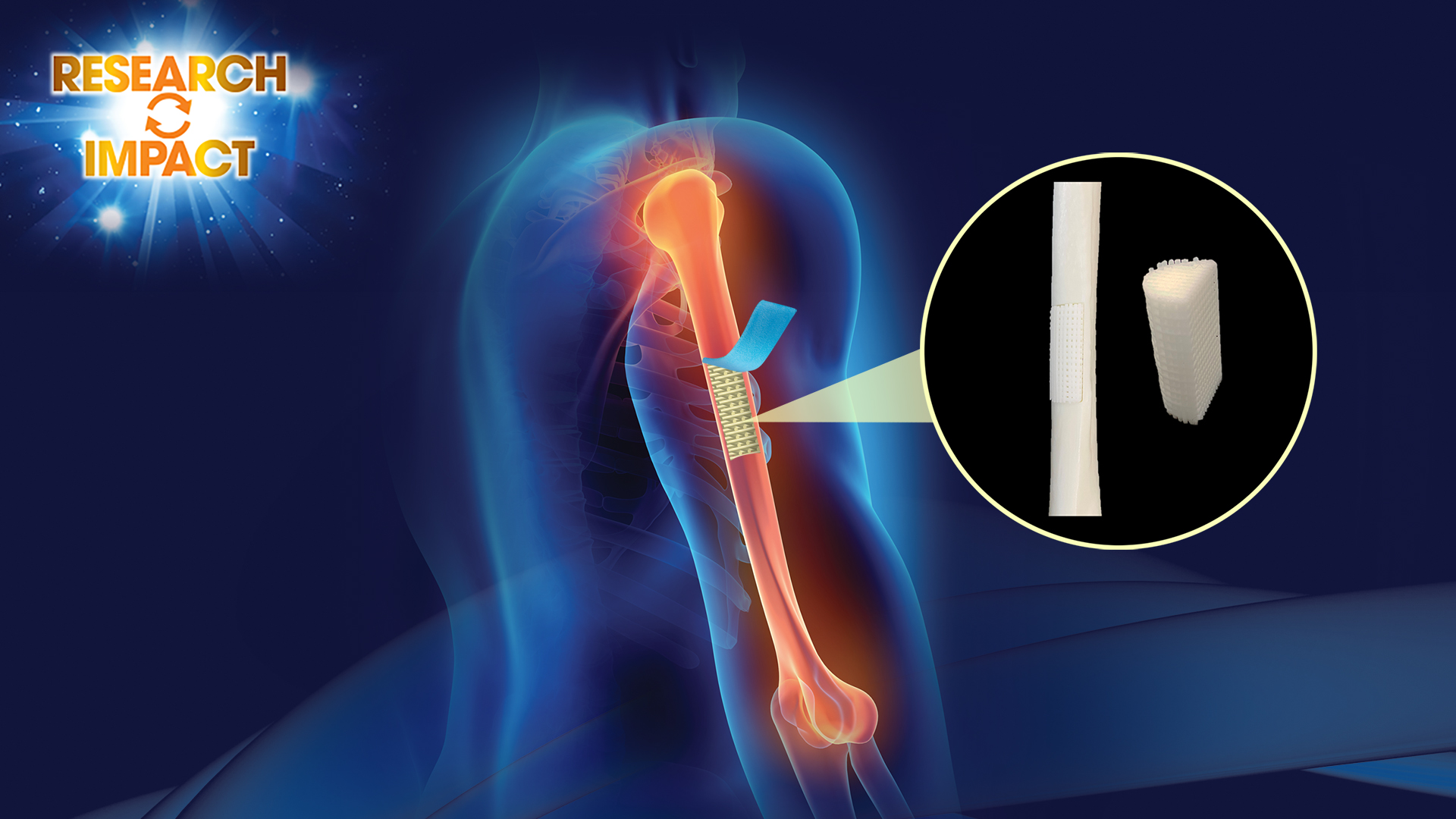 TF2021_1920x1080_Oct