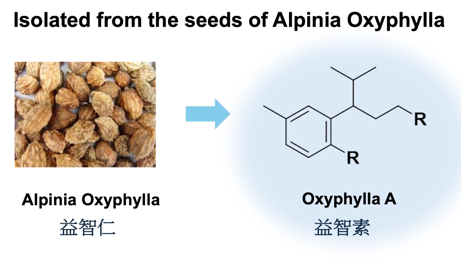 AIM Pharma-- Oxyphylla A_1