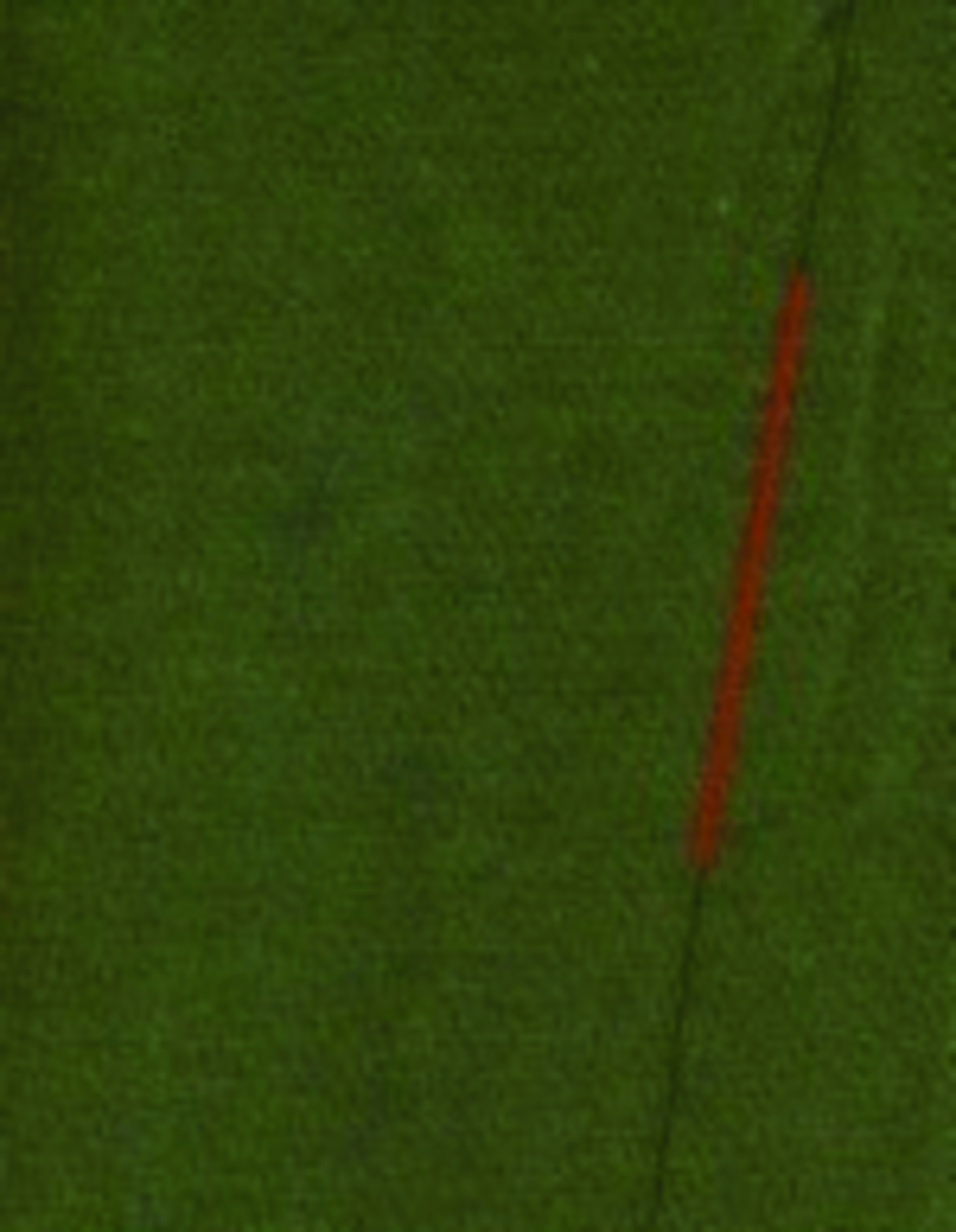 Low spirality angles of Nu-TorqueTM knitted fabric_conventional Ring  yarn