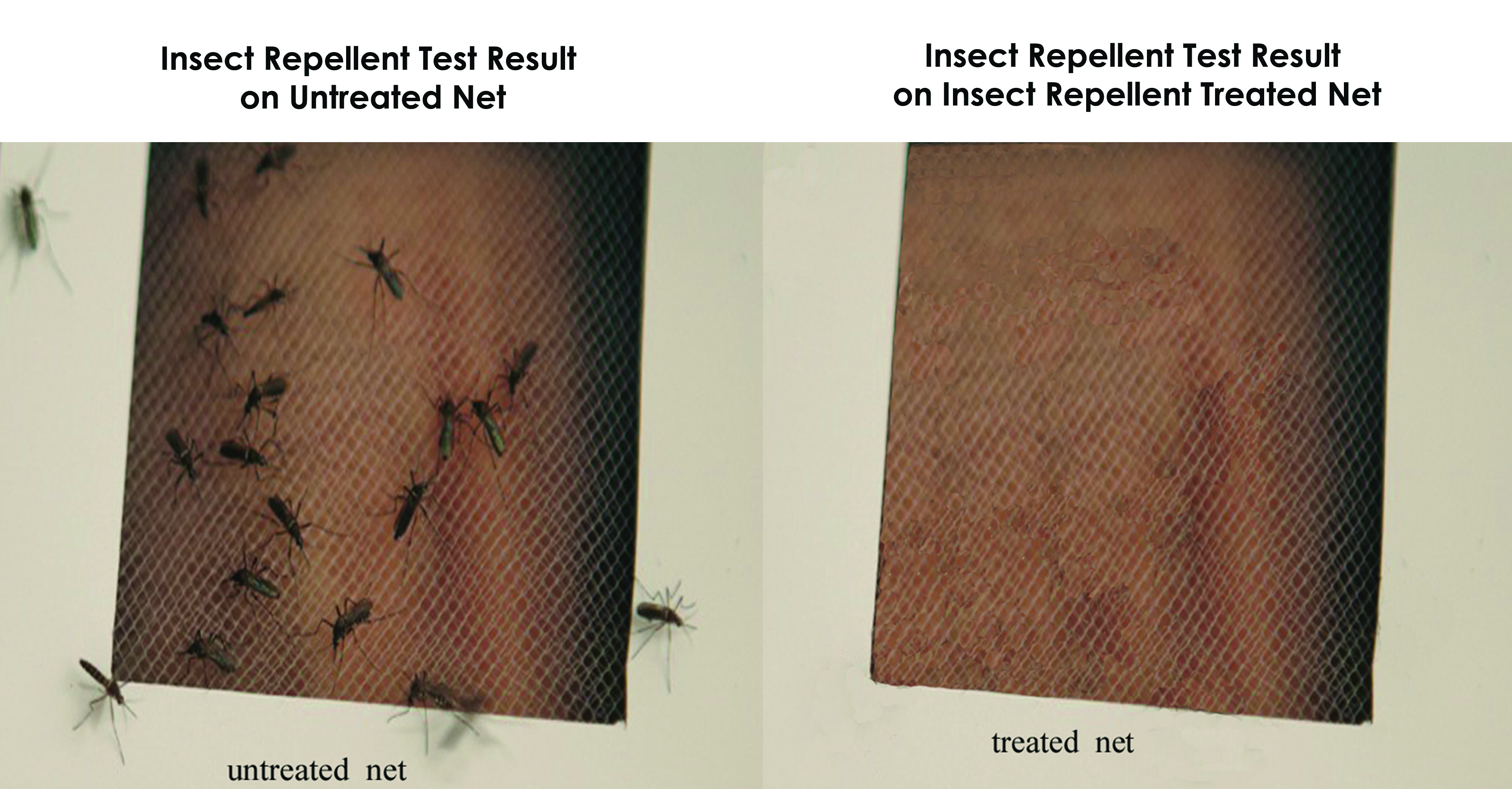 Encapsulation In Insects Durable Nano-Encapsulated Insect Repellent Finishing for Fabrics ...