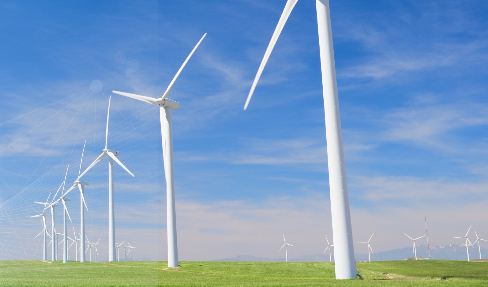 Web banner_06_BEEE_Ed