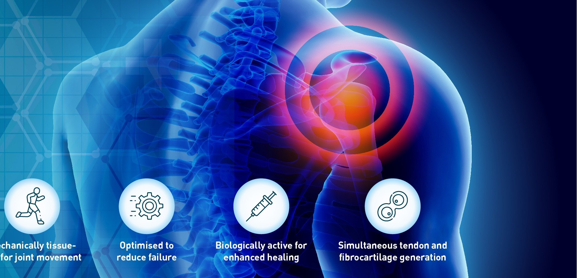 Web banner_08_BME_Ed