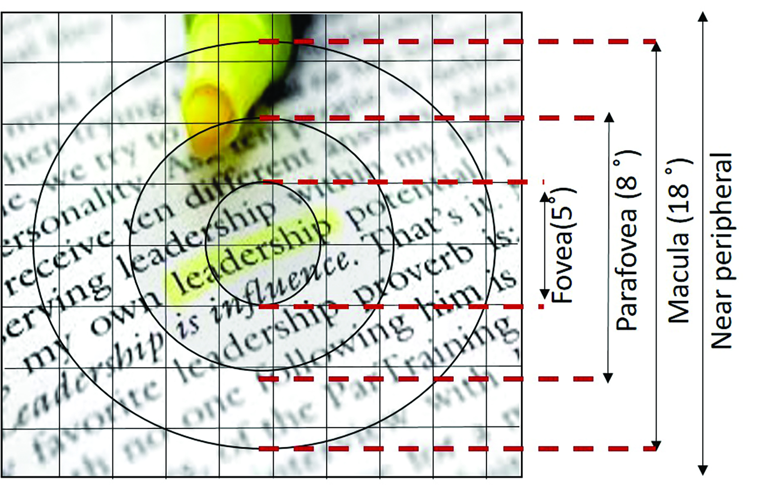 Novel Multi-functional Visual Simulator for Detecting Ocular Changes ...