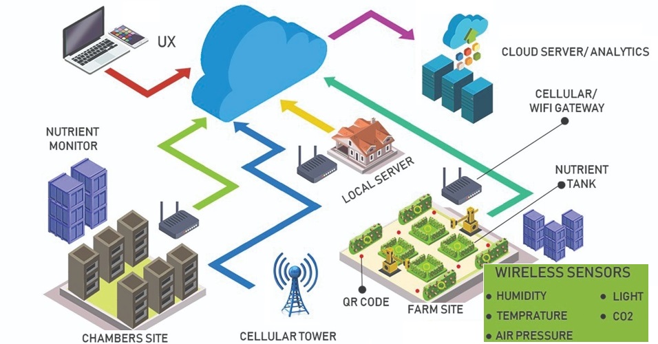 Smart Indoor Farming System | Knowledge Transfer and Entrepreneurship ...