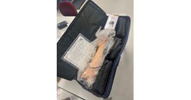 Blood Pressure simulator arm