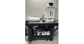 Dual color in vivo miniscope imaging